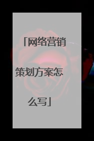 网络营销策划方案怎么写