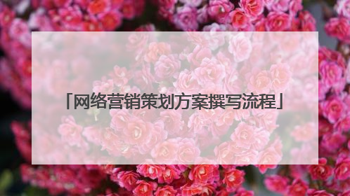 网络营销策划方案撰写流程