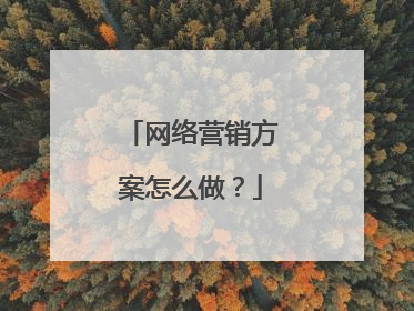 网络营销方案怎么做？