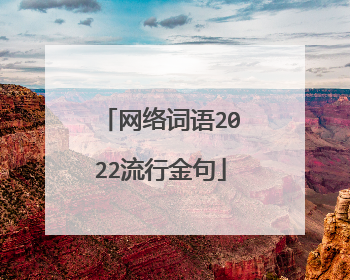 网络词语2022流行金句