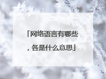 网络语言有哪些，各是什么意思