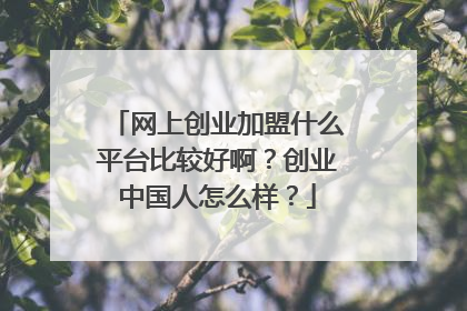 网上创业加盟什么平台比较好啊？创业中国人怎么样？