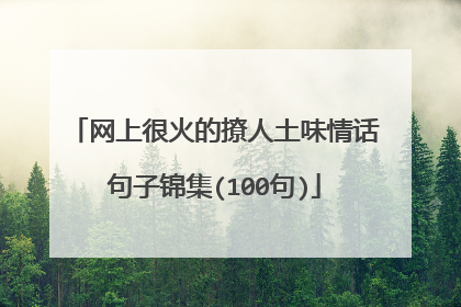 网上很火的撩人土味情话句子锦集(100句)