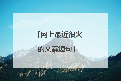 网上最近很火的文案短句