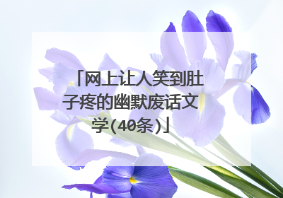 网上让人笑到肚子疼的幽默废话文学(40条)