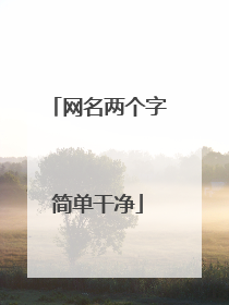 网名两个字简单干净