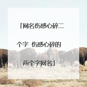 网名伤感心碎二个字 伤感心碎的两个字网名