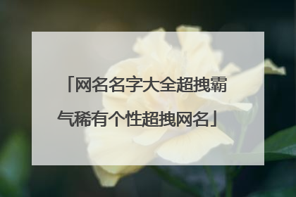 网名名字大全超拽霸气稀有个性超拽网名