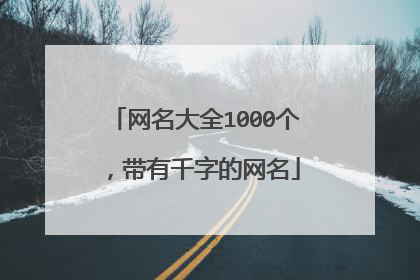 网名大全1000个,带有千字的网名