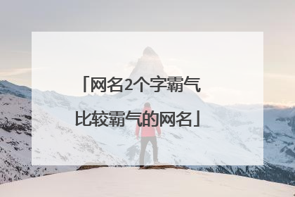 网名2个字霸气 比较霸气的网名