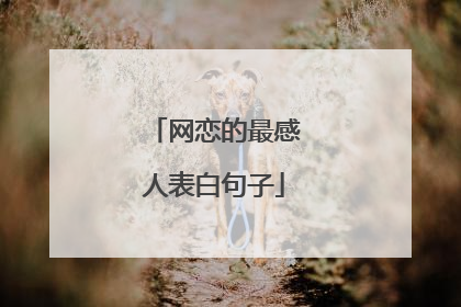 网恋的最感人表白句子