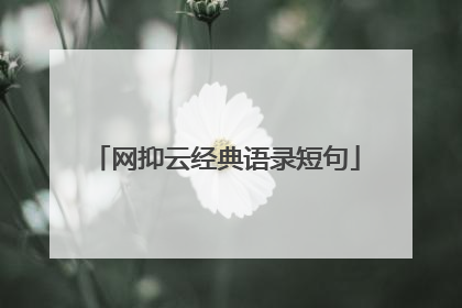 网抑云经典语录短句