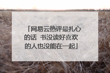 网易云热评最扎心的话 书没读好喜欢的人也没能在一起