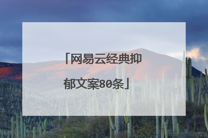 网易云经典抑郁文案80条