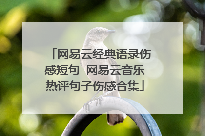 网易云经典语录伤感短句 网易云音乐热评句子伤感合集