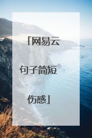网易云句子简短伤感