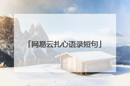 网易云扎心语录短句