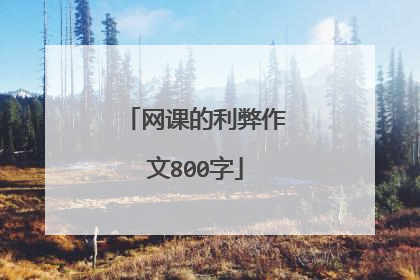网课的利弊作文800字