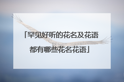 罕见好听的花名及花语 都有哪些花名花语