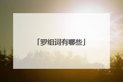 罗组词有哪些