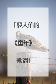 罗大佑的《童年》 歌词