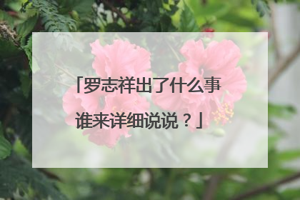 罗志祥出了什么事谁来详细说说？
