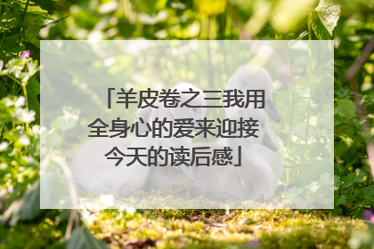 羊皮卷之三我用全身心的爱来迎接今天的读后感