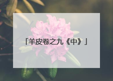 羊皮卷之九《中》