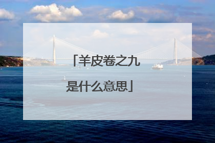 羊皮卷之九是什么意思