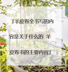 羊皮卷全书写的内容是关于什么的 羊皮卷书的主要内容