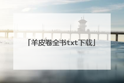 羊皮卷全书txt下载