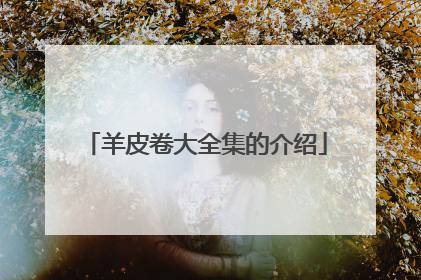 羊皮卷大全集的介绍