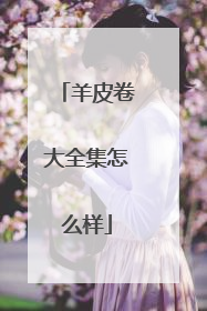 羊皮卷大全集怎么样