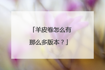 羊皮卷怎么有那么多版本?