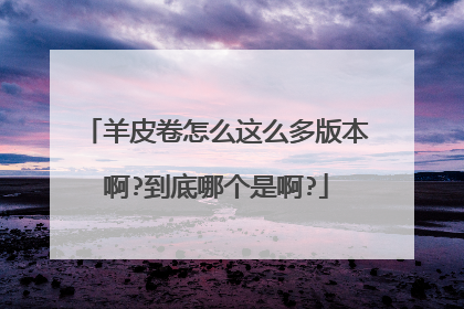 羊皮卷怎么这么多版本啊?到底哪个是啊?
