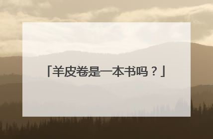 羊皮卷是一本书吗？