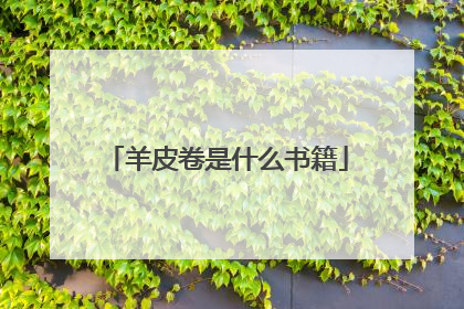 羊皮卷是什么书籍