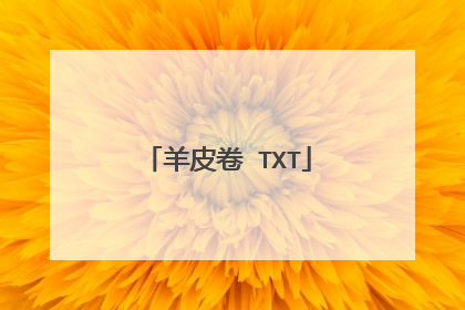 羊皮卷 TXT