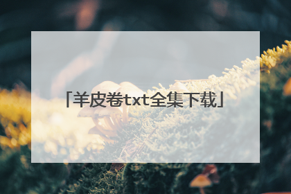 羊皮卷txt全集下载