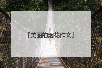 美丽的烟花作文