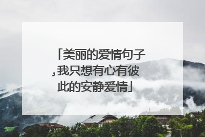 美丽的爱情句子,我只想有心有彼此的安静爱情