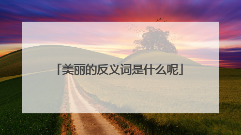 美丽的反义词是什么呢