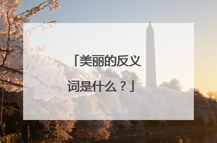 美丽的反义词是什么？