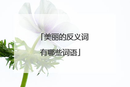 美丽的反义词有哪些词语