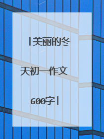 美丽的冬天初一作文600字