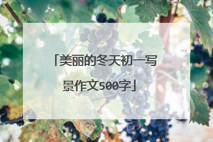 美丽的冬天初一写景作文500字