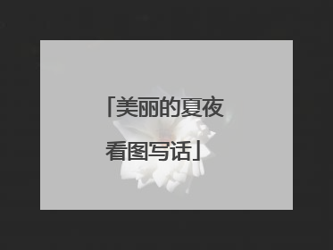 美丽的夏夜看图写话