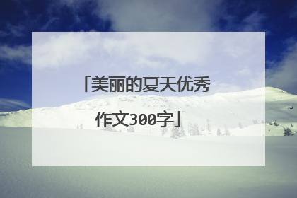 美丽的夏天优秀作文300字