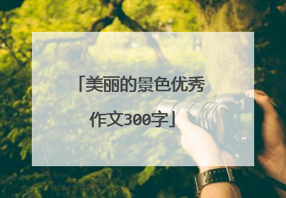美丽的景色优秀作文300字