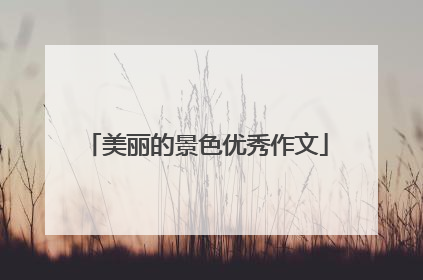 美丽的景色优秀作文